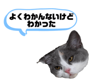857760444