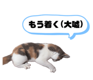 857760445