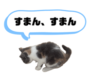 857760450