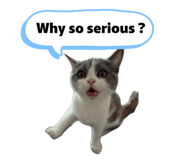 857760453