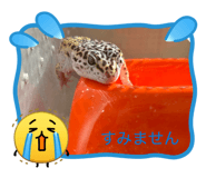 857760876