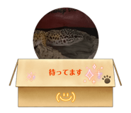 857760887