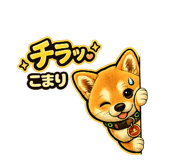 857761455