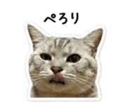 857761645