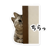 857761649