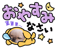 857762062