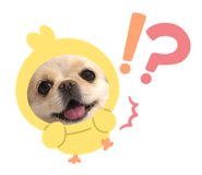 857762081