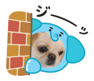 857762082
