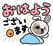 857762088