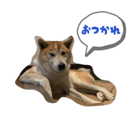 857762335