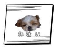 857762891