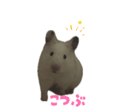 857763190
