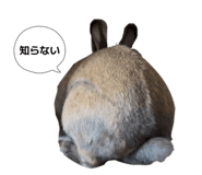 857763436