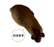 857763438