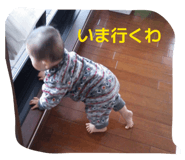 857763509