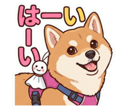 857764341