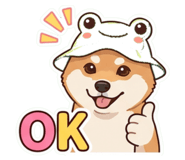 857764343