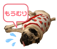 857764404