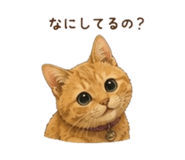 857764535