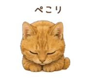 857764536