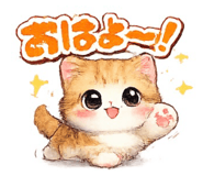 857765354