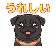 857766223