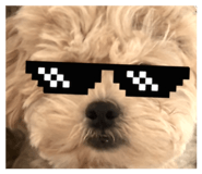 857766304