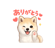 857767122