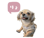 857767561