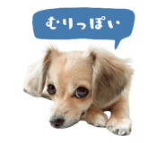 857767565