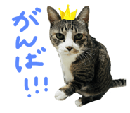 857767760