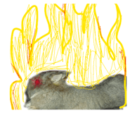 857768581