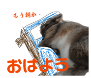 857768583