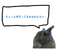 857768587