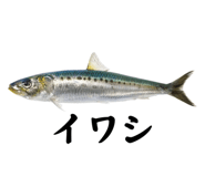 857769033