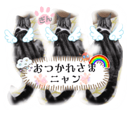 857769486