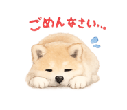 857769691