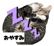 857770018