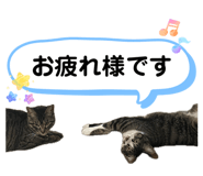 857770020