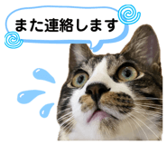 857770021