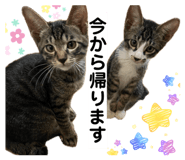 857770023