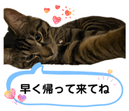 857770026