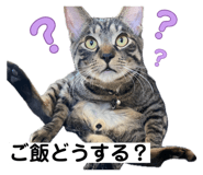 857770027