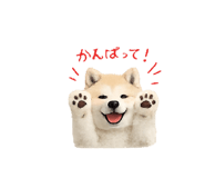 857770313