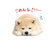 857770316