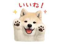 857770317