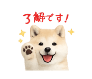857770320