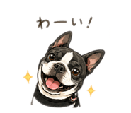 857770790