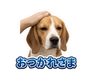 857771268