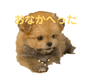857771957